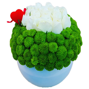 Yeşilin beyaz ile dansı